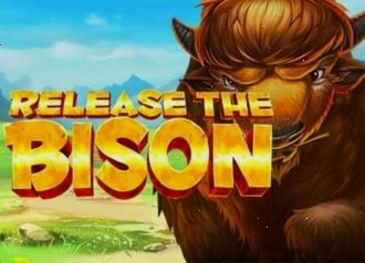 release bison pragmatic